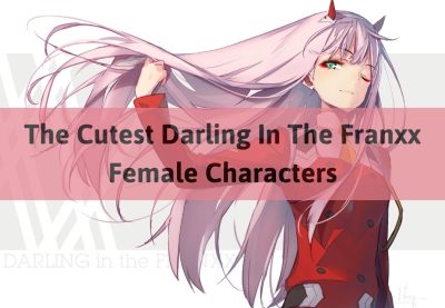 ONE PIECE TOP 10 STRONGEST CHARACTERS 8 - Darling In The Franxx Shop